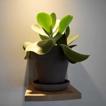 Ξενοδοχείο Campus Kloster Damme